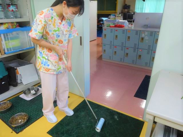 大掃除🧹