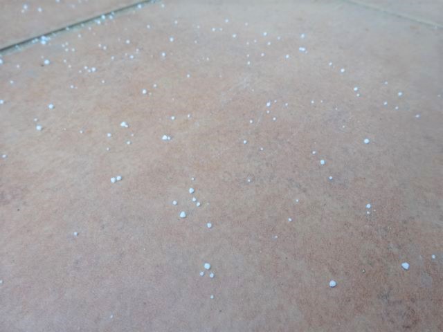 冬に見られる特別なもの⛄