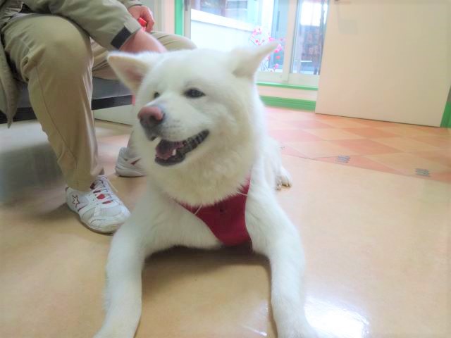 家族を守ろう！