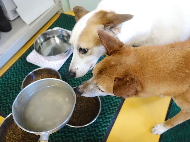 美味しそうな匂い