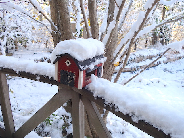 雪の餌箱