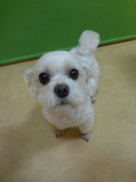 見た目と違ってアクティブちゃん⛄