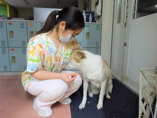 しょんぼりルーサー(´・ω・`)