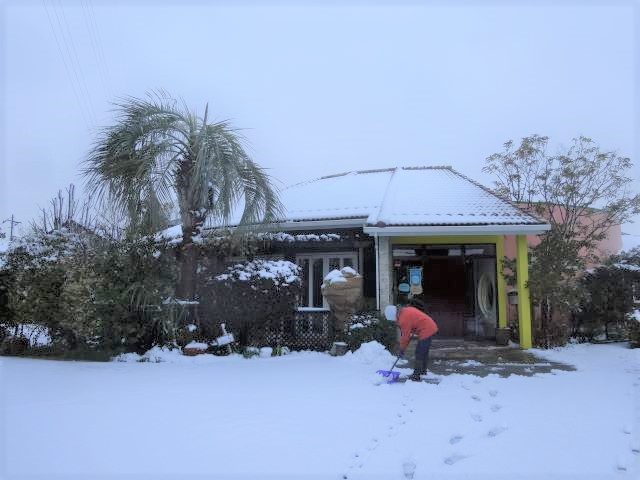 雪の日の過ごし方☃