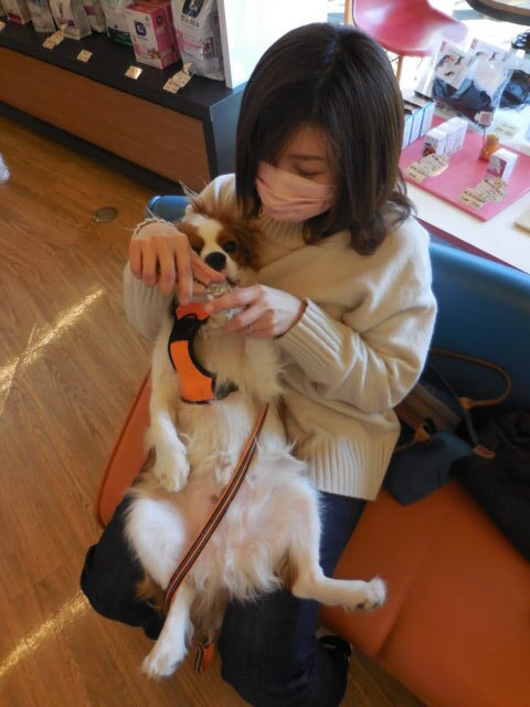 爪切りセミナー
