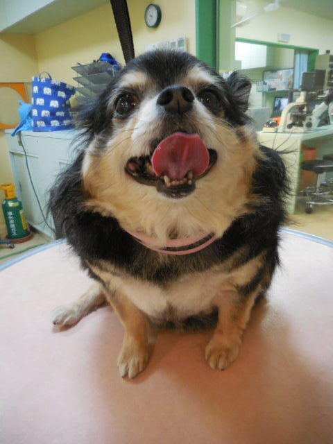 名前の由来ってありますか？ぜひ知りたいです(≧◇≦)