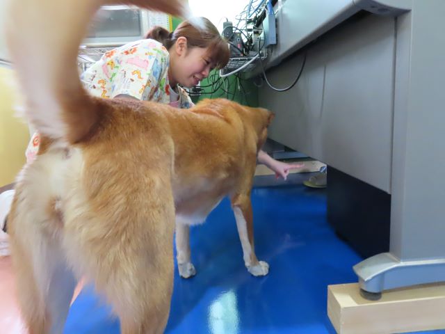 トンネル