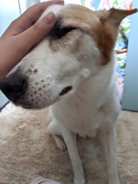 甘え上手