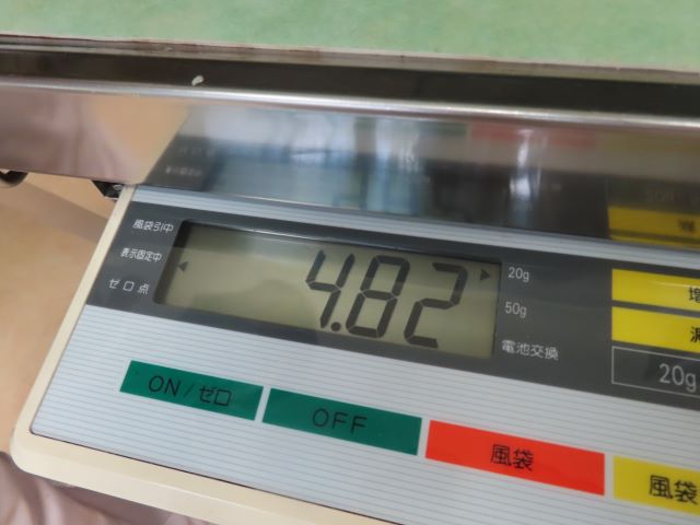 今のおきくの体重