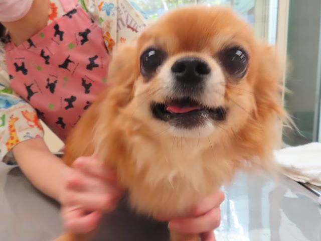 ニコニコ😊