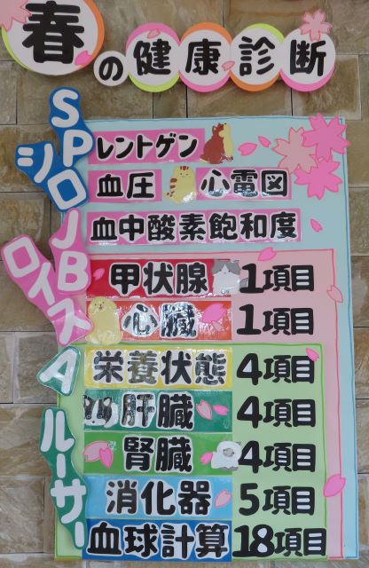 春の健康診断