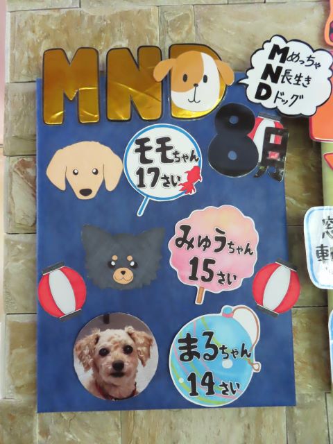 ８月・MND