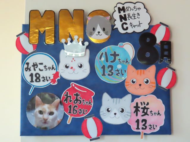 ８月・MNC