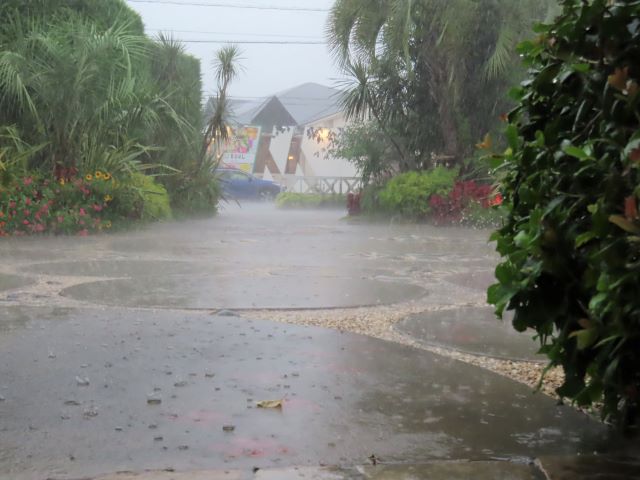 台風