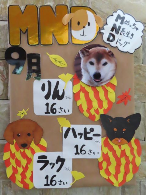 ９月・MND