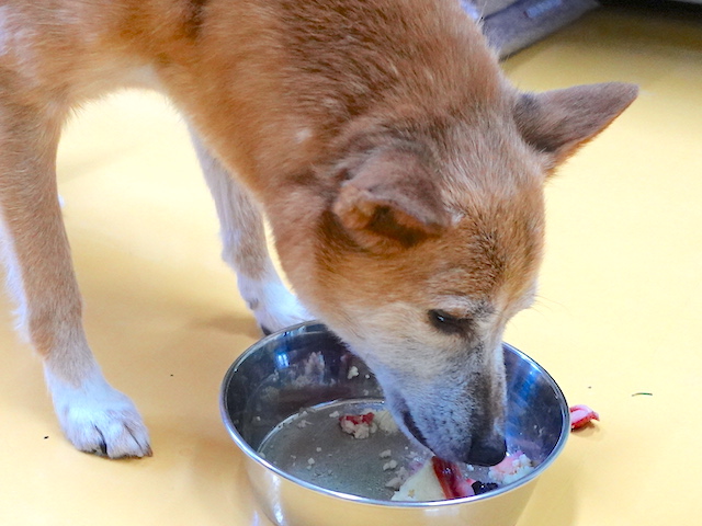 ケーキとロイス